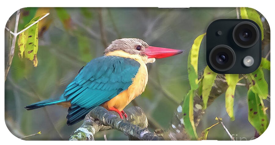 Bird iPhone Case featuring the photograph Stork-billed Kingfisher by Pravine Chester