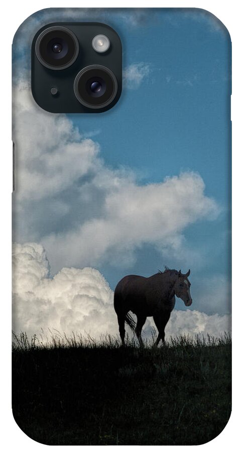Horse iPhone Case featuring the photograph Storm Bringer by Alana Thrower