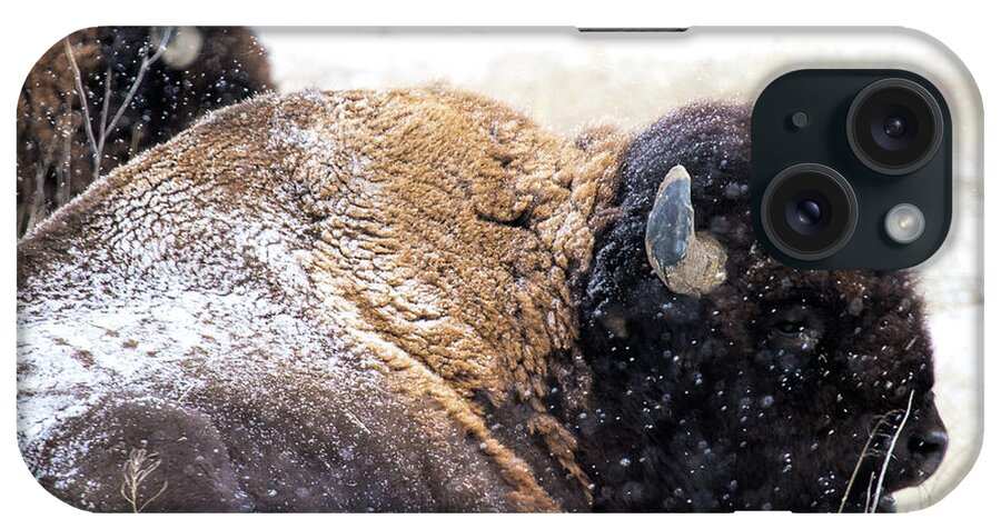 Buffalo iPhone Case featuring the photograph Storm Riders by Jim Garrison