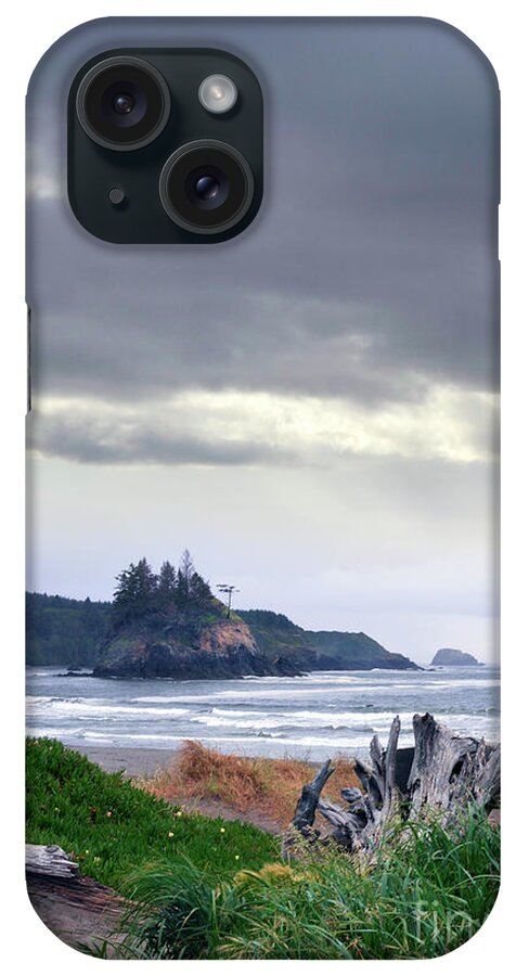 Storm iPhone Case featuring the photograph Stormy Beach by Jill Battaglia