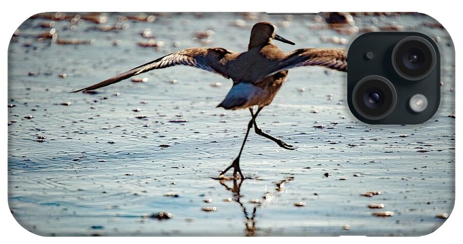 Bird iPhone Case featuring the photograph Outer Banks OBX #7 by Buddy Morrison