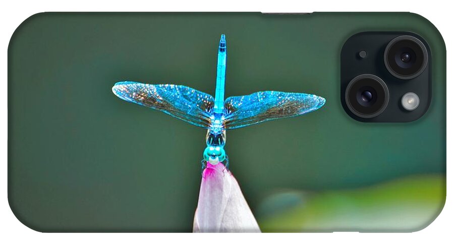 Dragonfly iPhone Case featuring the photograph Straight up by Merle Grenz