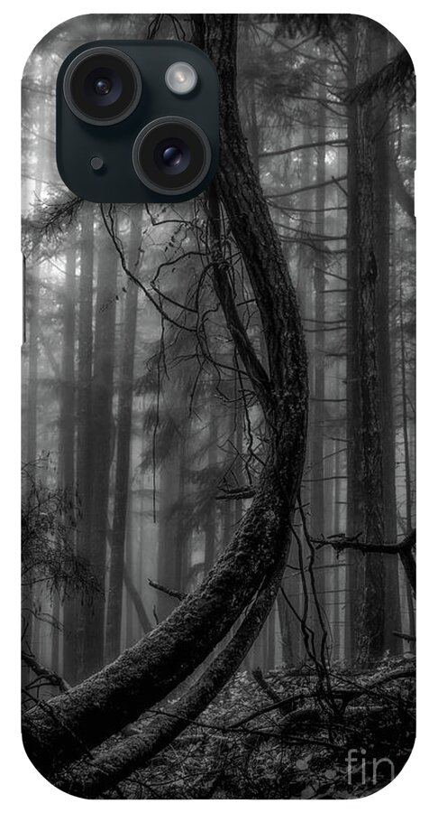 Tree iPhone Case featuring the photograph Straightening up by David Hillier