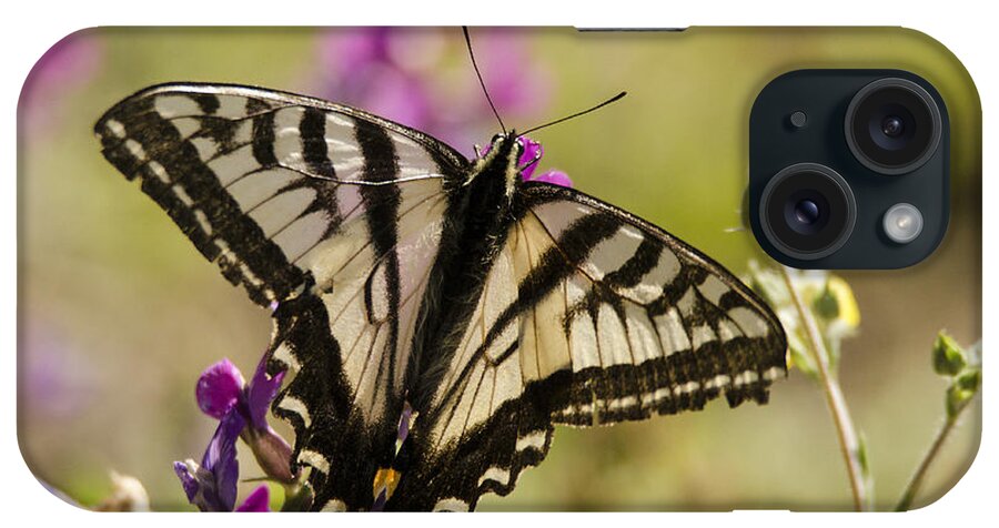 Butterfly iPhone Case featuring the photograph Strength by Kelly Black