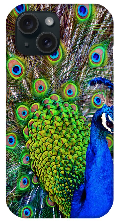 Zoo iPhone Case featuring the photograph Strut by Angelina Tamez
