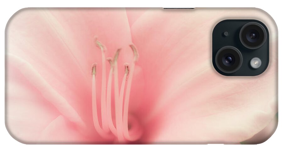 Flower iPhone Case featuring the photograph Subtle and Pink by Jason Moynihan