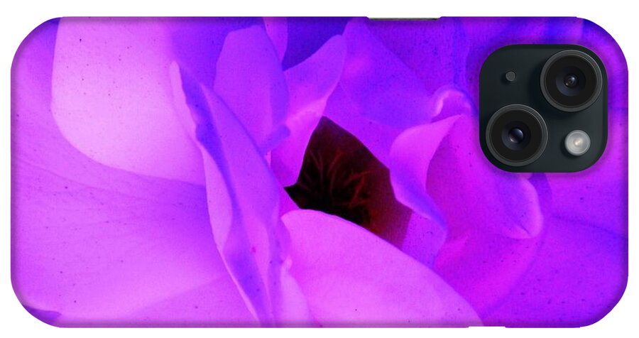 Roses iPhone Case featuring the photograph Subtle Blush by Daniele Smith