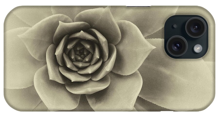 Succulent Closeup Abstract iPhone Case featuring the photograph Succulent Closeup Abstract Black and White by Ram Vasudev