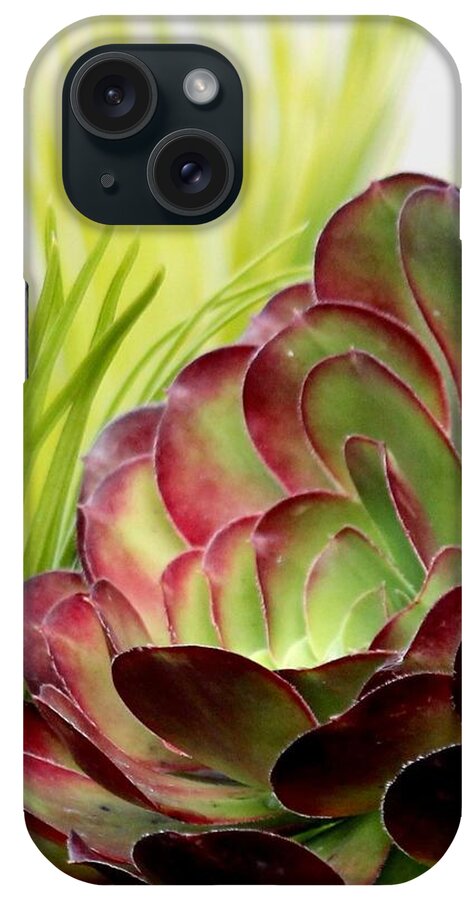 Plant iPhone Case featuring the photograph Succulent by Sarah Lilja