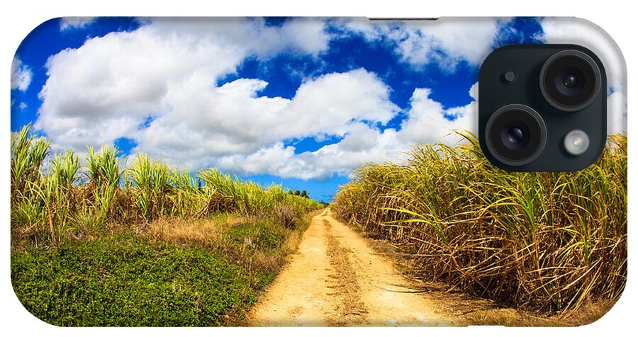 Barbados iPhone Case featuring the photograph Sugarcane Fields by Raul Rodriguez