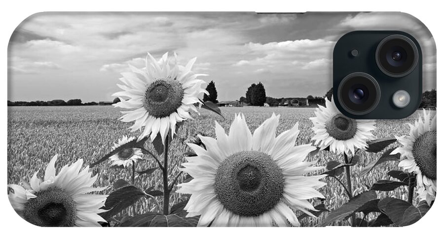 Black And White Sunflowers iPhone Case featuring the photograph Sumertime On The Farm In Black And White by Gill Billington
