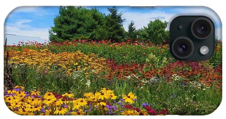 Flowers iPhone Case featuring the photograph Summer Flowers in PA by Jeanette Oberholtzer