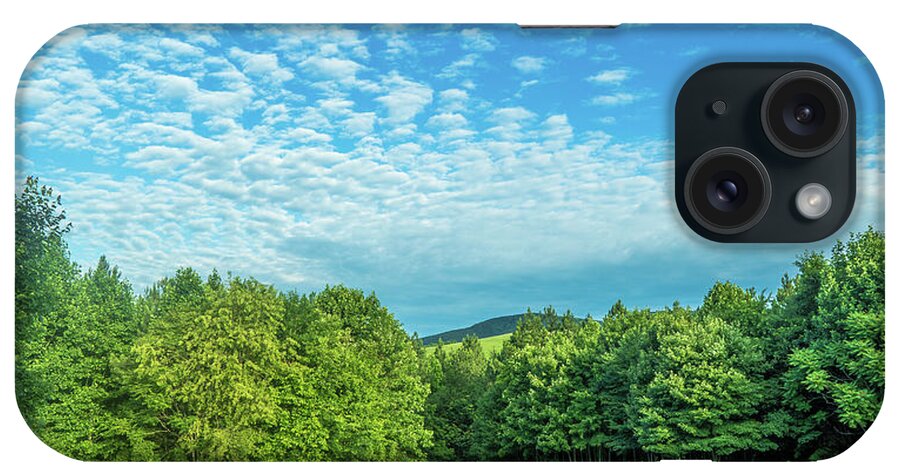 Trees iPhone Case featuring the photograph Summer Morning by Henri Irizarri