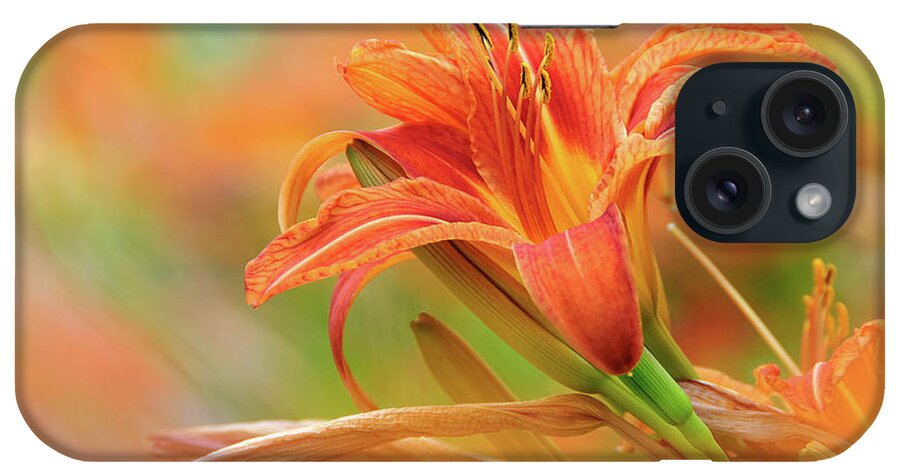 Flowers iPhone Case featuring the photograph Summer Palette by Neil Shapiro
