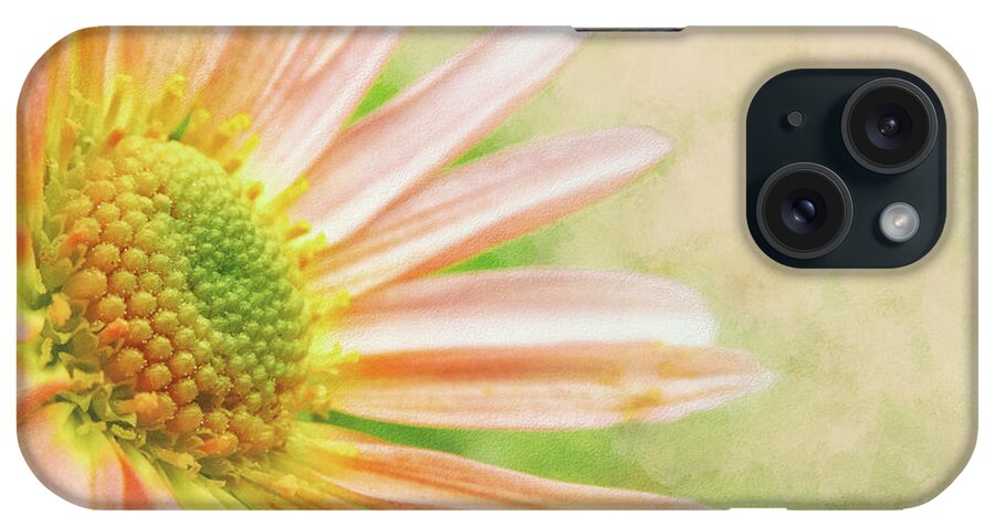 Concord iPhone Case featuring the photograph Summer Sherbet Daisy by Sylvia J Zarco