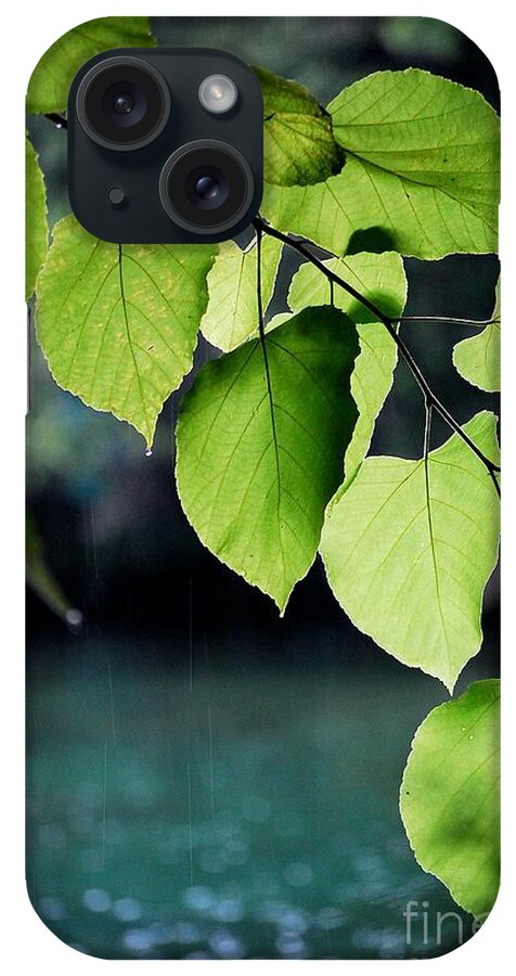 Summer Showers iPhone Case featuring the photograph Summer Showers by Robert Meanor