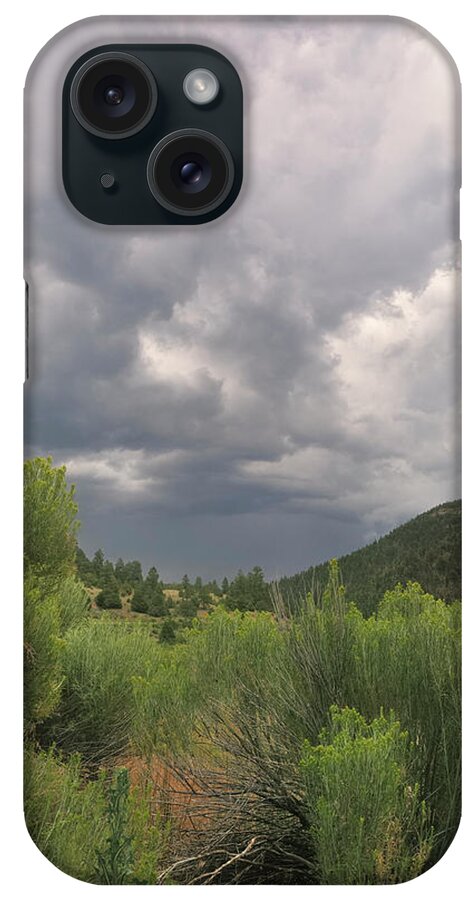 Mountains iPhone Case featuring the photograph Summer Storm by Ron Cline