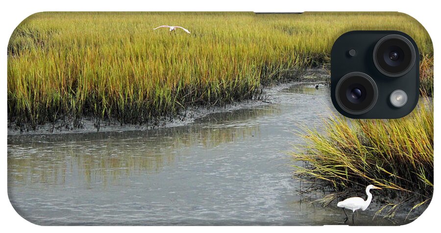 Salt Marsh iPhone Case featuring the photograph Summertime Salt Marsh by Suzanne Gaff