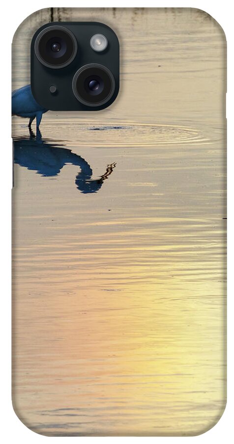Kansas iPhone Case featuring the photograph Sun Dog and Great Egret 3 by Rob Graham