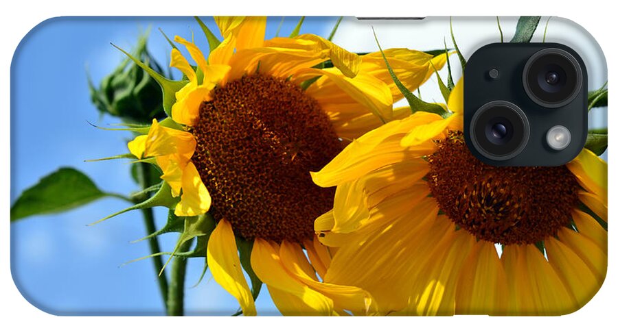Sun Flowers iPhone Case featuring the photograph Sun Flowers by La Dolce Vita