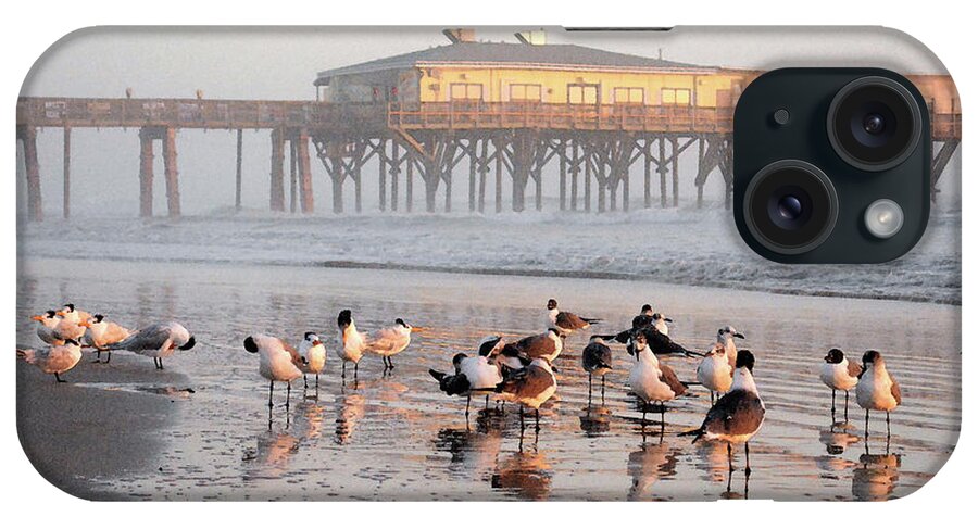Seabird Paintings iPhone Case featuring the photograph Sun Glow Pier with the morning birds by Julianne Felton