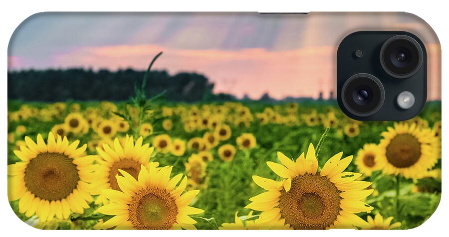 Photography iPhone Case featuring the photograph Sun Ray Sunflower by Joe Kopp