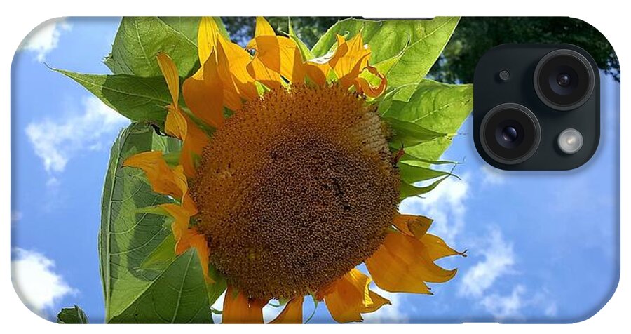 Sun Flower iPhone Case featuring the photograph Sun Sun Flower 1 by Rob Hans