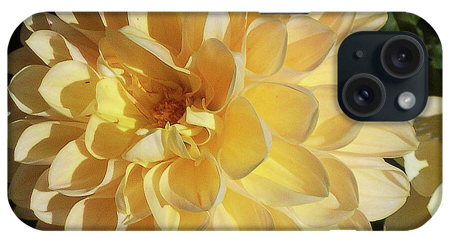 Flower iPhone Case featuring the photograph Sunburst by Joyce Creswell