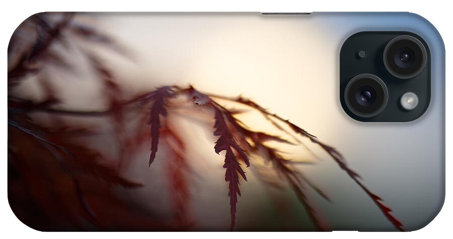 Sundown iPhone Case featuring the photograph Sundown by Shane Holsclaw