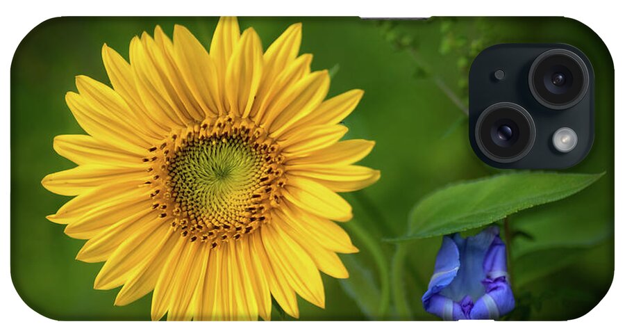 Sunflower And Morning Glory iPhone Case featuring the photograph Sunflower and Morning Glory by Carolyn Derstine