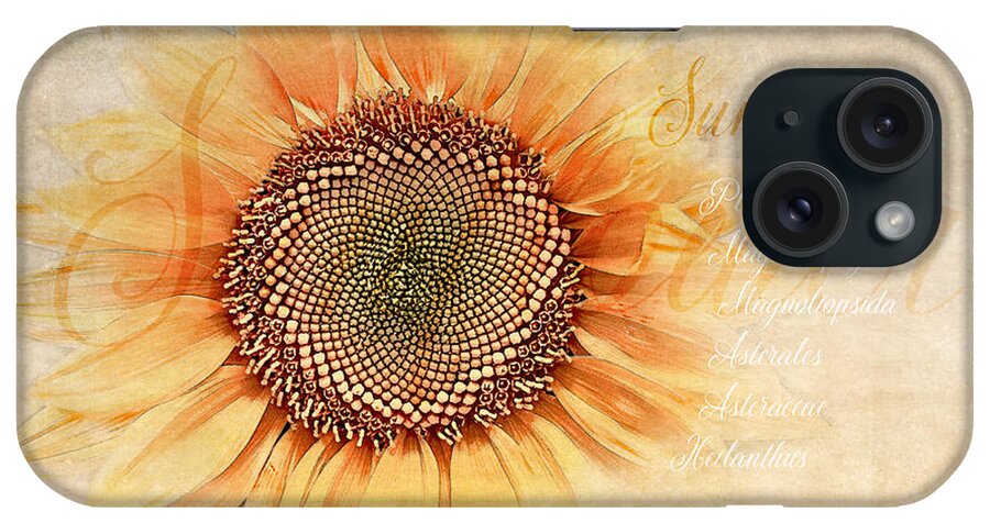 Sunflower iPhone Case featuring the digital art Sunflower Classification by Terry Davis