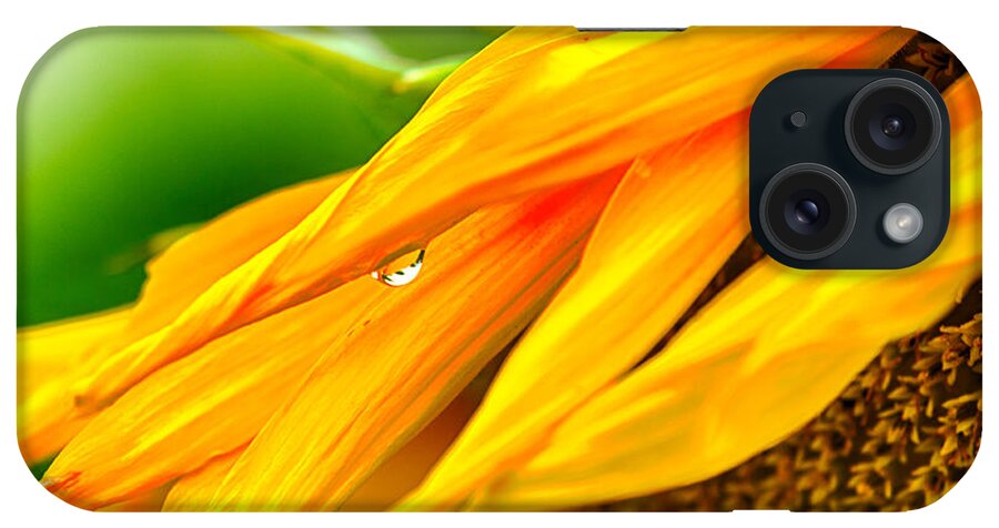 Maryland iPhone Case featuring the photograph Sunflower Close Up by Leah Palmer