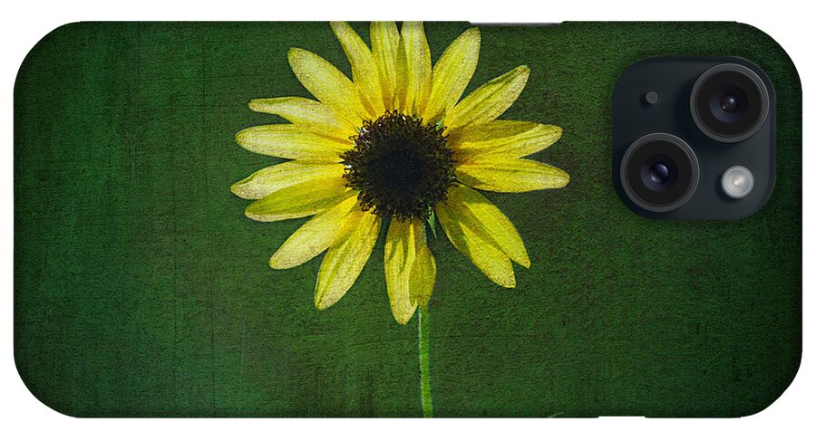 Sunflower iPhone Case featuring the photograph Sunflower by Diane Macdonald