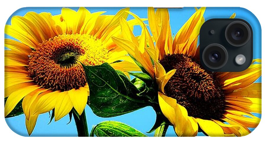 Floral iPhone Case featuring the photograph Sunflower Duo by Alexis King-Glandon