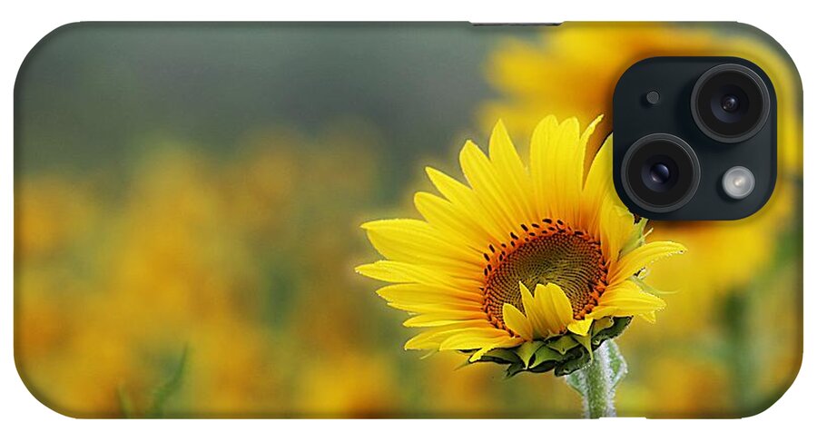 Sunflower iPhone Case featuring the photograph Sunflower Field by Karen McKenzie McAdoo