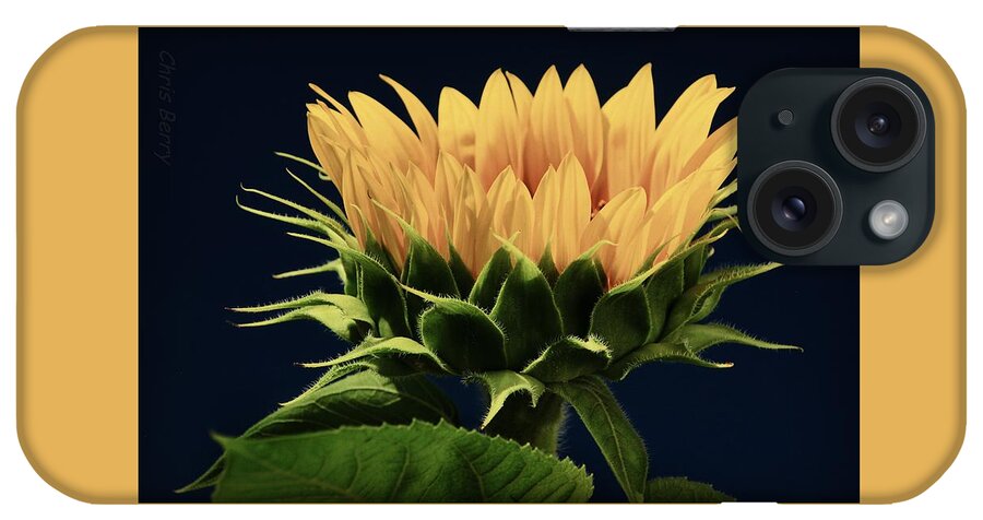 Grinter iPhone Case featuring the photograph Sunflower Foliage and Petals by Chris Berry