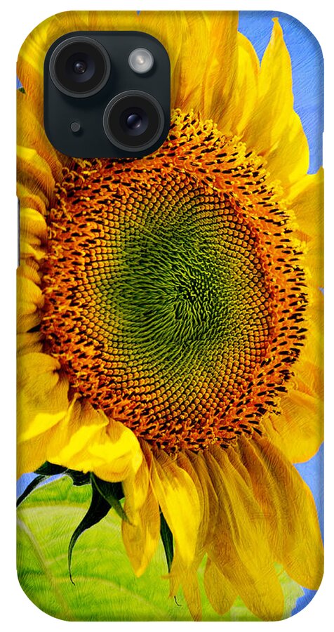 Sunflower iPhone Case featuring the photograph Sunflower Plant by Christina Rollo