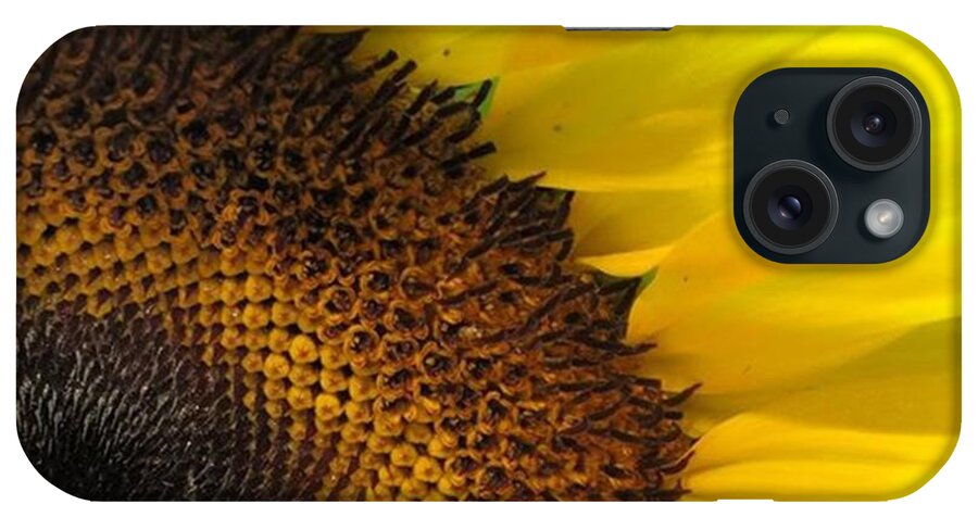 Flower iPhone Case featuring the photograph Sunflower #juansilvaphotos #photography by Juan Silva