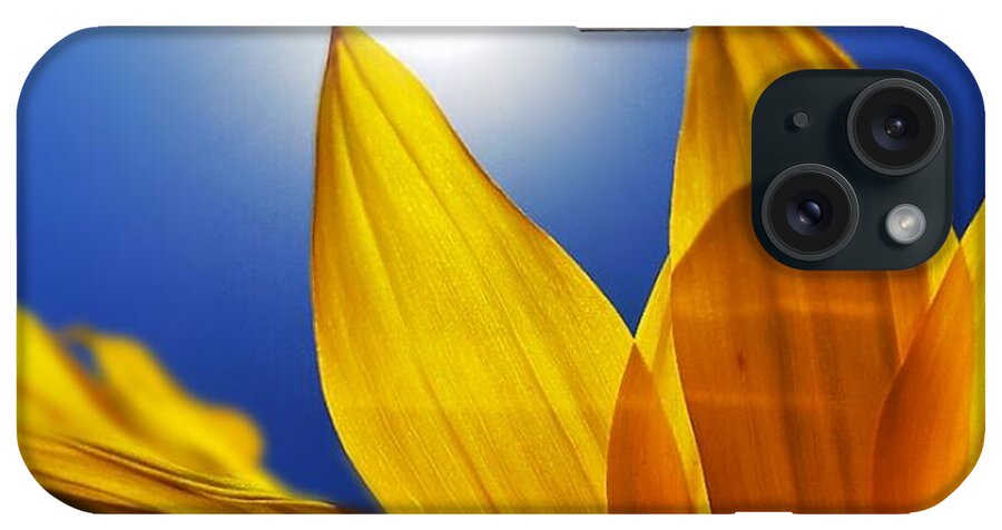 Sunflower iPhone Case featuring the photograph Sunflower Macro by Alexis King-Glandon