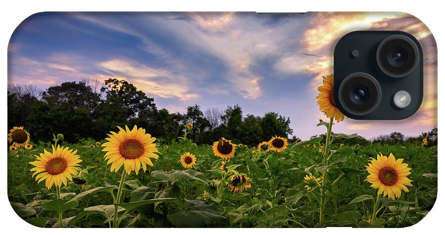 Sunflower iPhone Case featuring the photograph Sunflower Mingle by C Renee Martin
