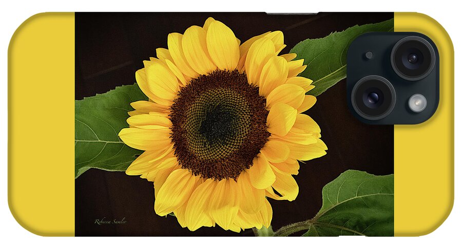 Sunflower iPhone Case featuring the photograph Sunflower by Rebecca Samler