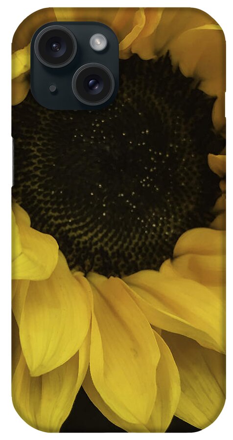 Sunflower iPhone Case featuring the photograph Sunflower Up Close by Arlene Carmel