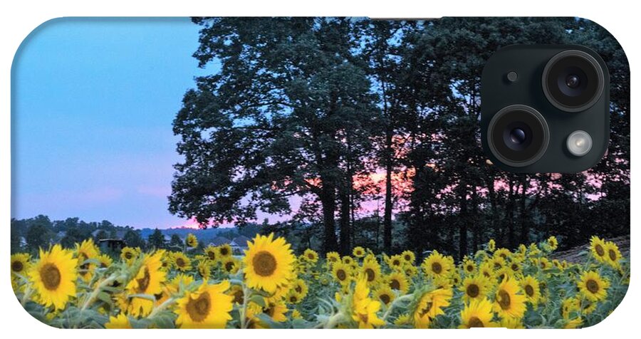 Sunflower Field At Sunset iPhone Case featuring the photograph Sunflowers at Sunset by Mary Ann Artz