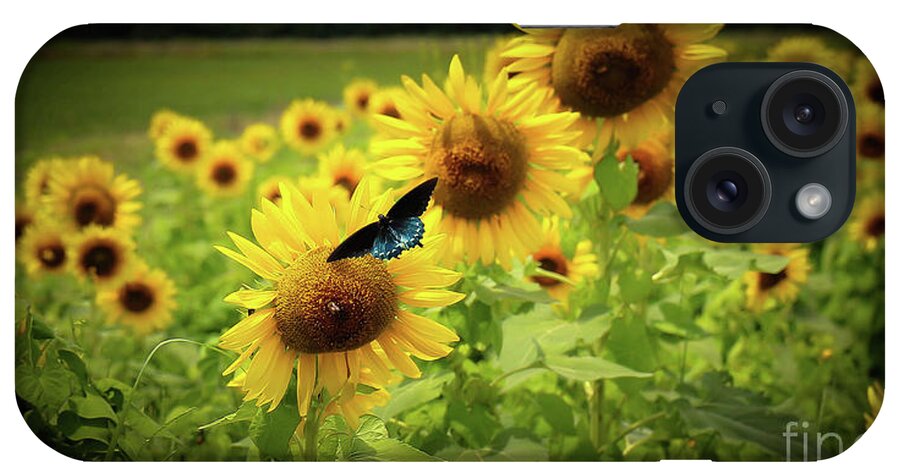 Sunflowers iPhone Case featuring the photograph Sunflowers in Memphis by Veronica Batterson