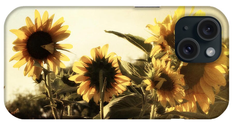 Sunflowers In Tone iPhone Case featuring the photograph Sunflowers In Tone by Glenn McCarthy Art and Photography