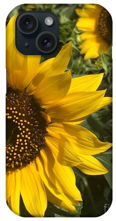Happy Sunflowers iPhone Case featuring the photograph Sunflowers by Jacklyn Duryea Fraizer