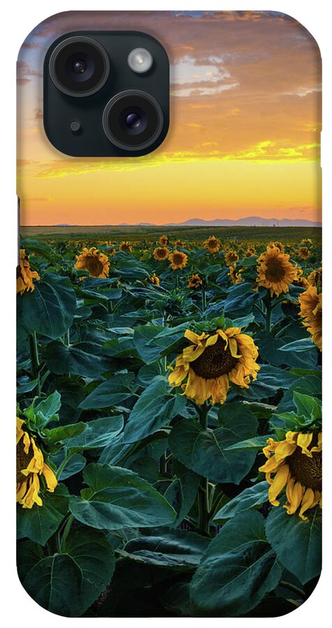 Colorado iPhone Case featuring the photograph Sunflowers Under A Sunset Sky by John De Bord