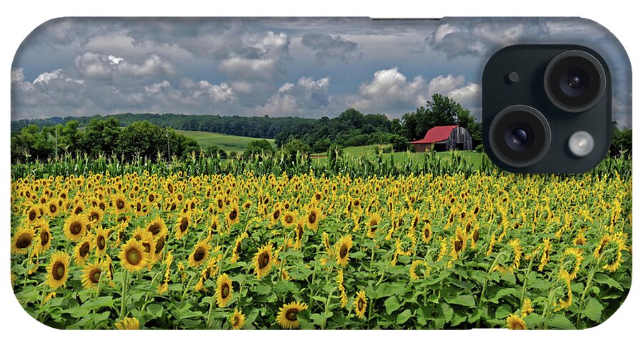 Sunflower iPhone Case featuring the photograph Sunflowers With Barn by Paul Mashburn
