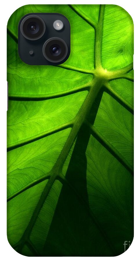 Green iPhone Case featuring the photograph Sunglow Green Leaf by Pat Davidson