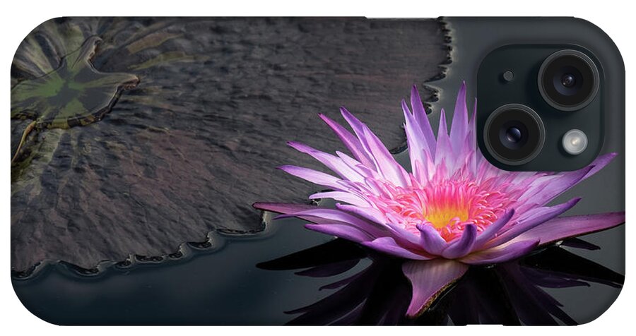 Longwood Gardens iPhone Case featuring the photograph Sunkissed Water Lily by Georgette Grossman